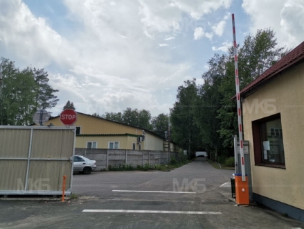 Беласептика, производство