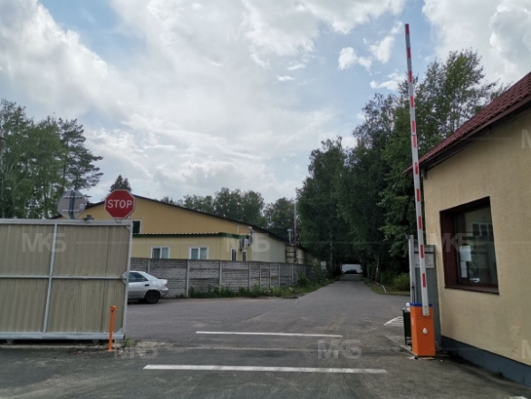 Беласептика, производство