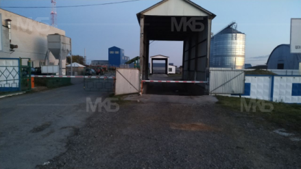 Александрия, ул. Органская 6