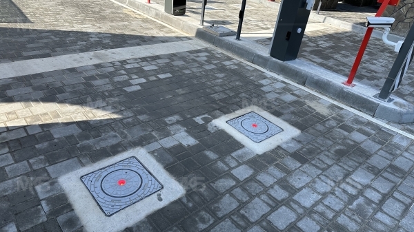 Национальный Парк Беловежская пуща