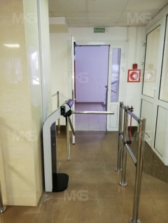 Ивацевичидрев, биометрия