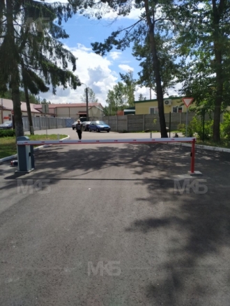 Беласептика