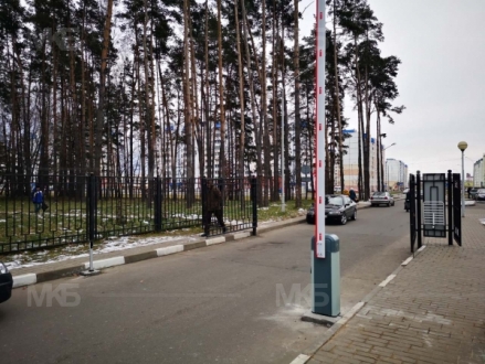 Могилевская ЦРБ, г.Могилев